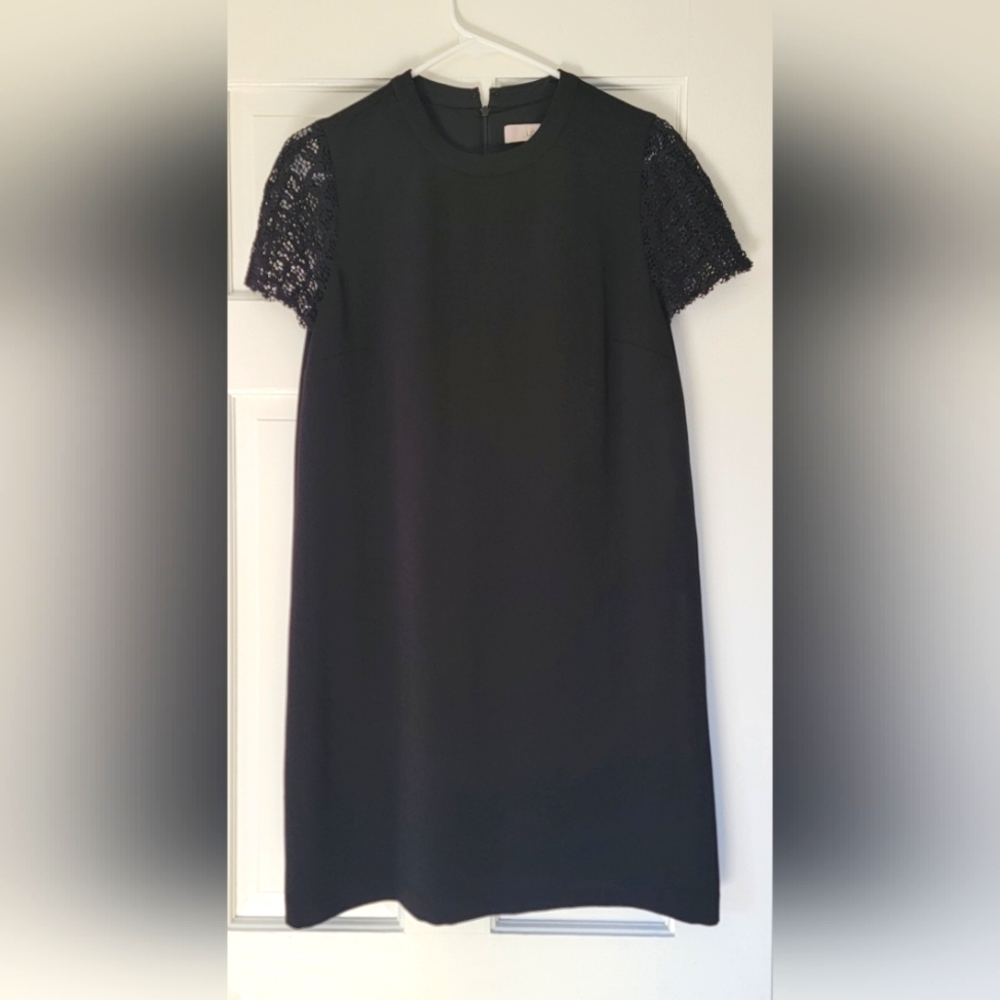 LOFT Lace Sleeve Dresss Size 8P